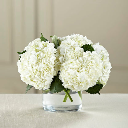 White Hydrangea Bouquet –  New Life Flower And Gifts, Rincon GA