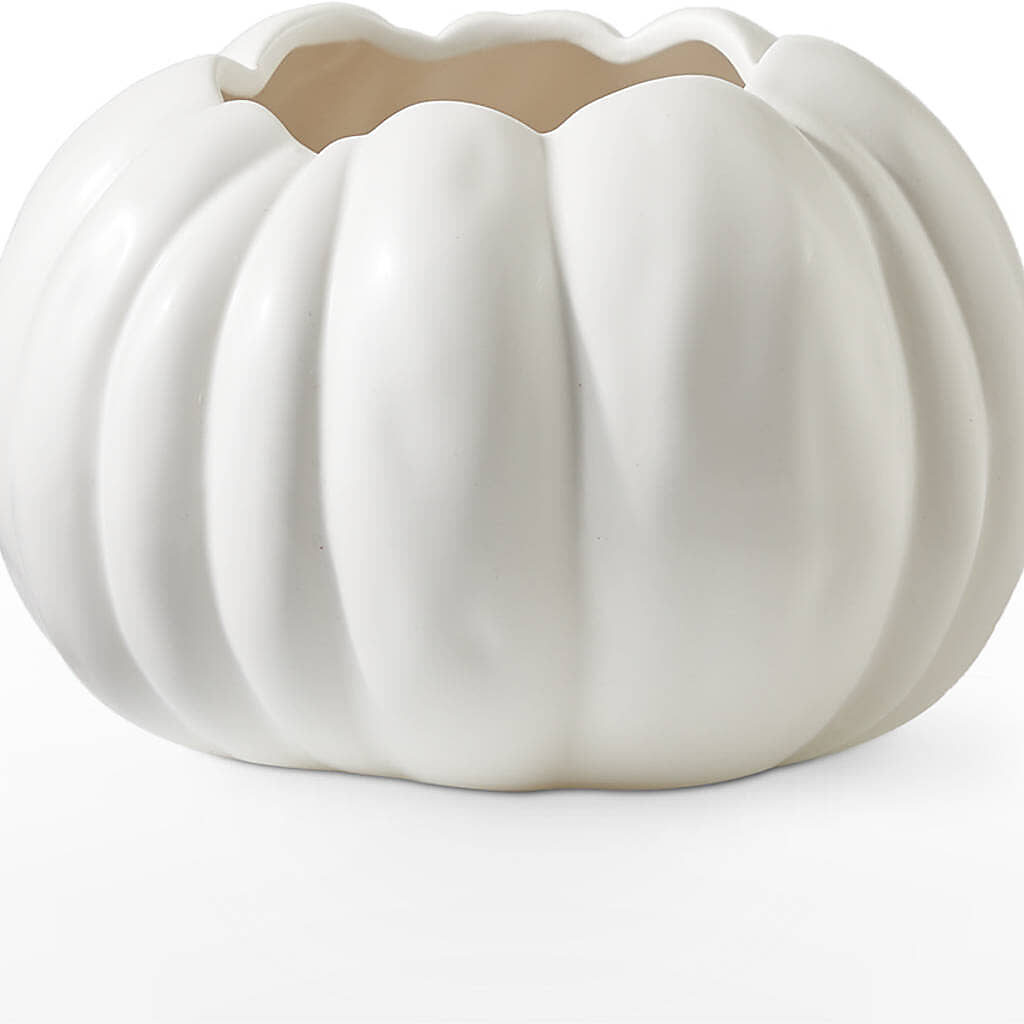 Pumpkin to Talk About Bouquet –  New Life Flower And Gifts, Rincon GA